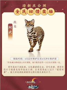 玩私服天龙八部卡